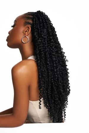 Crochet braids Capilyne Hair